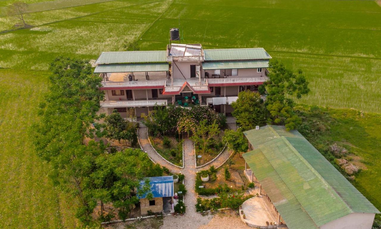 Hotel Tree Tops سوراها المظهر الخارجي الصورة