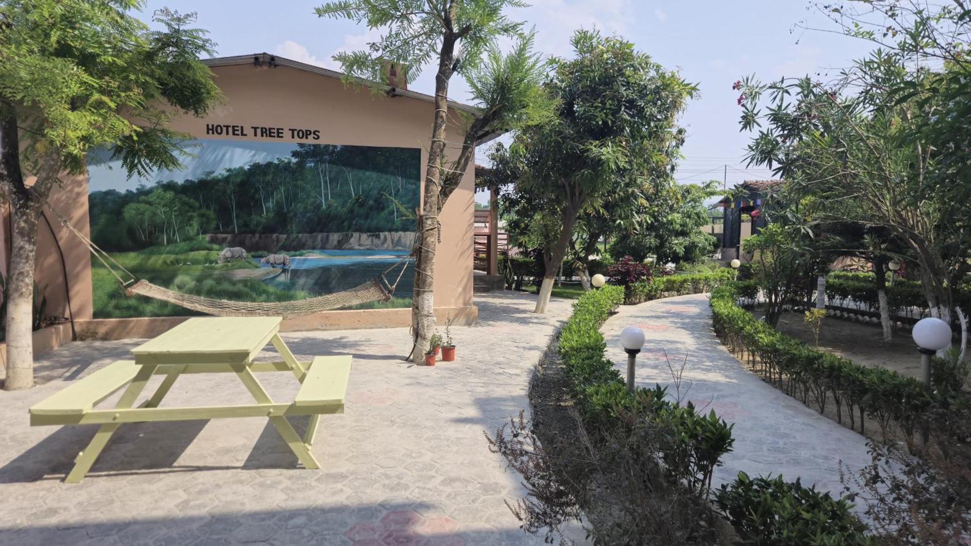 Hotel Tree Tops سوراها المظهر الخارجي الصورة