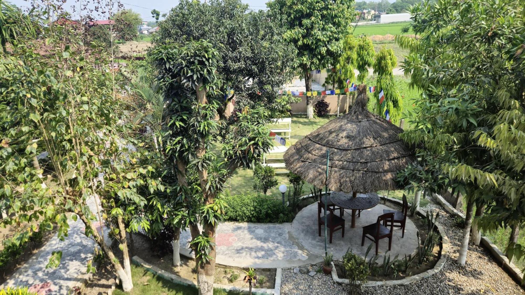 Hotel Tree Tops سوراها المظهر الخارجي الصورة